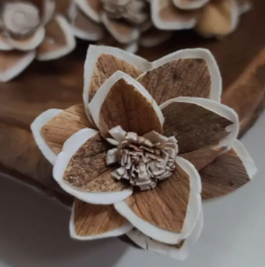 Mila Sola Wood Flower (set of 5)