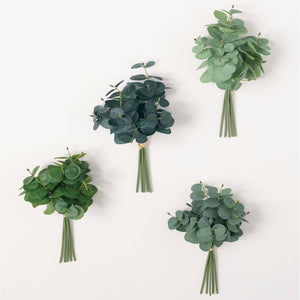 Mini Eucalyptus Bundle 4/asst