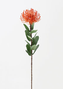 NHG Protea 21