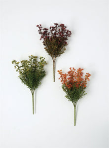 New England Boxwood Bush