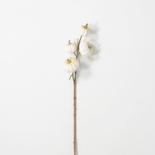 White Mini Pumpkin Stem