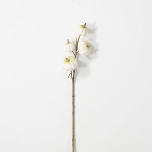 White Mini Pumpkin Stem