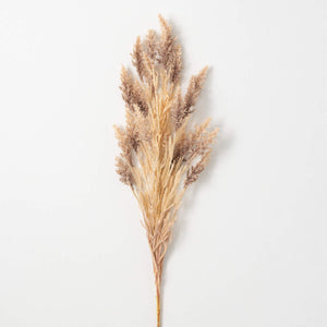 Sorghum Spray