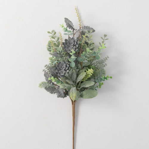 Succulent Bush