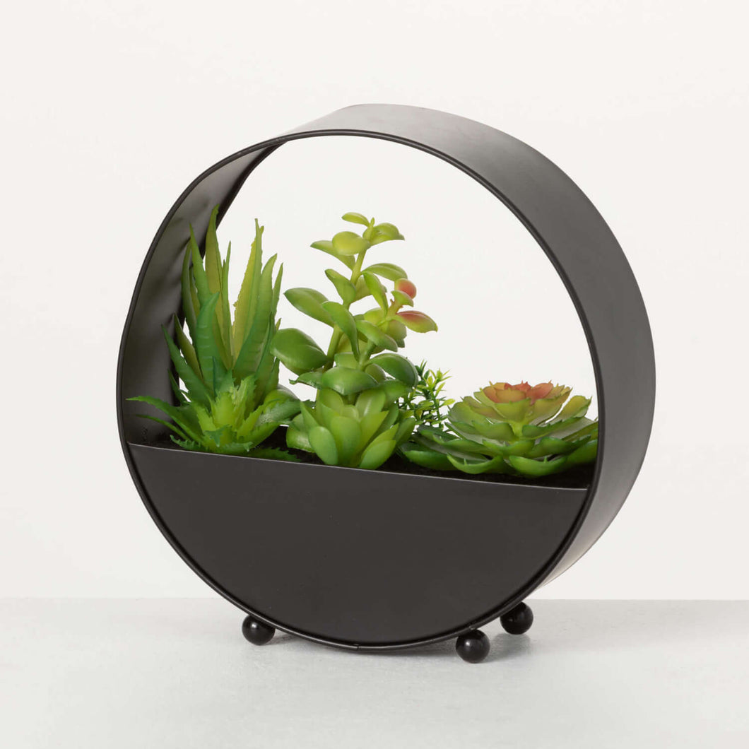 metal succulent planter Succulent in Metal Planter – Studio 9 Design Decor, LLC