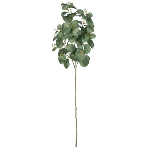 Tall Eucalyptus Spray