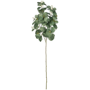 Tall Eucalyptus Spray