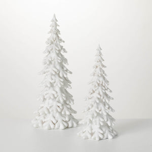 Snow Covered Pine Tree