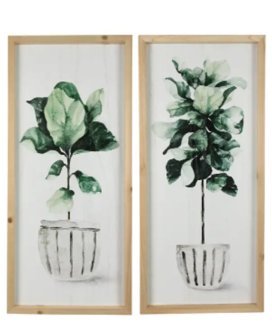 Wood Framed Botanical Art