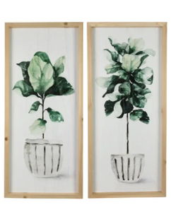 Wood Framed Botanical Art