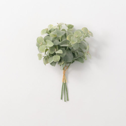 Basil Bundle