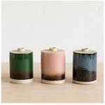 Load image into Gallery viewer, Glaze Bud Vase