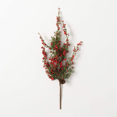 Cedar/Berry Pick