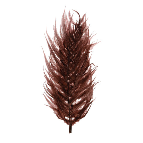 Dried Natural Fern Leaf Rose