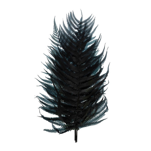 Dried Natural Fern Leaf Navy