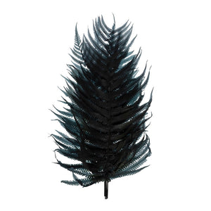Dried Natural Fern Leaf Navy