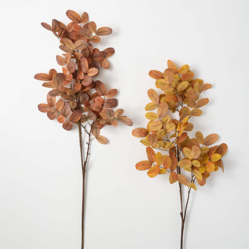 Foliage Leaf Stem
