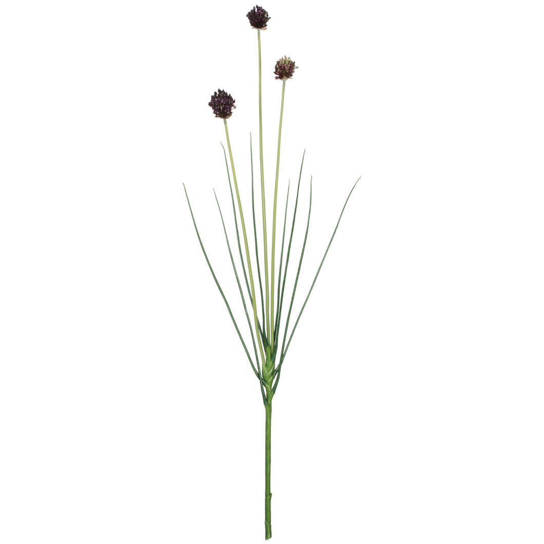 Onion Grass Stem