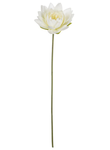 White Lotus Spray