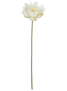 White Lotus Spray
