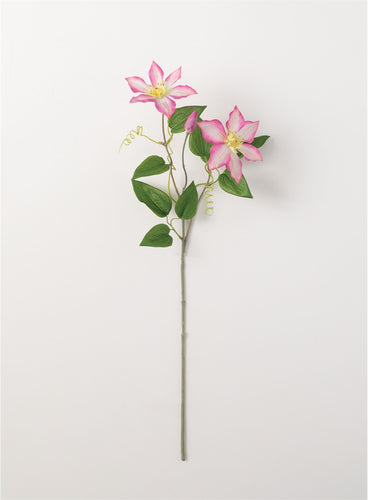 Clematis Spray