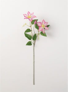 Clematis Spray