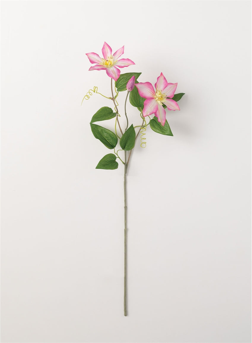 Clematis Spray