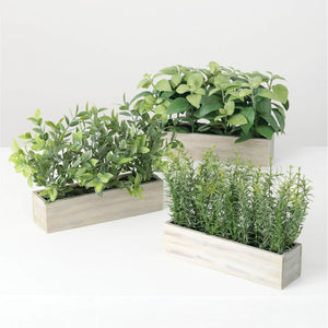 Herbs Wooden Box