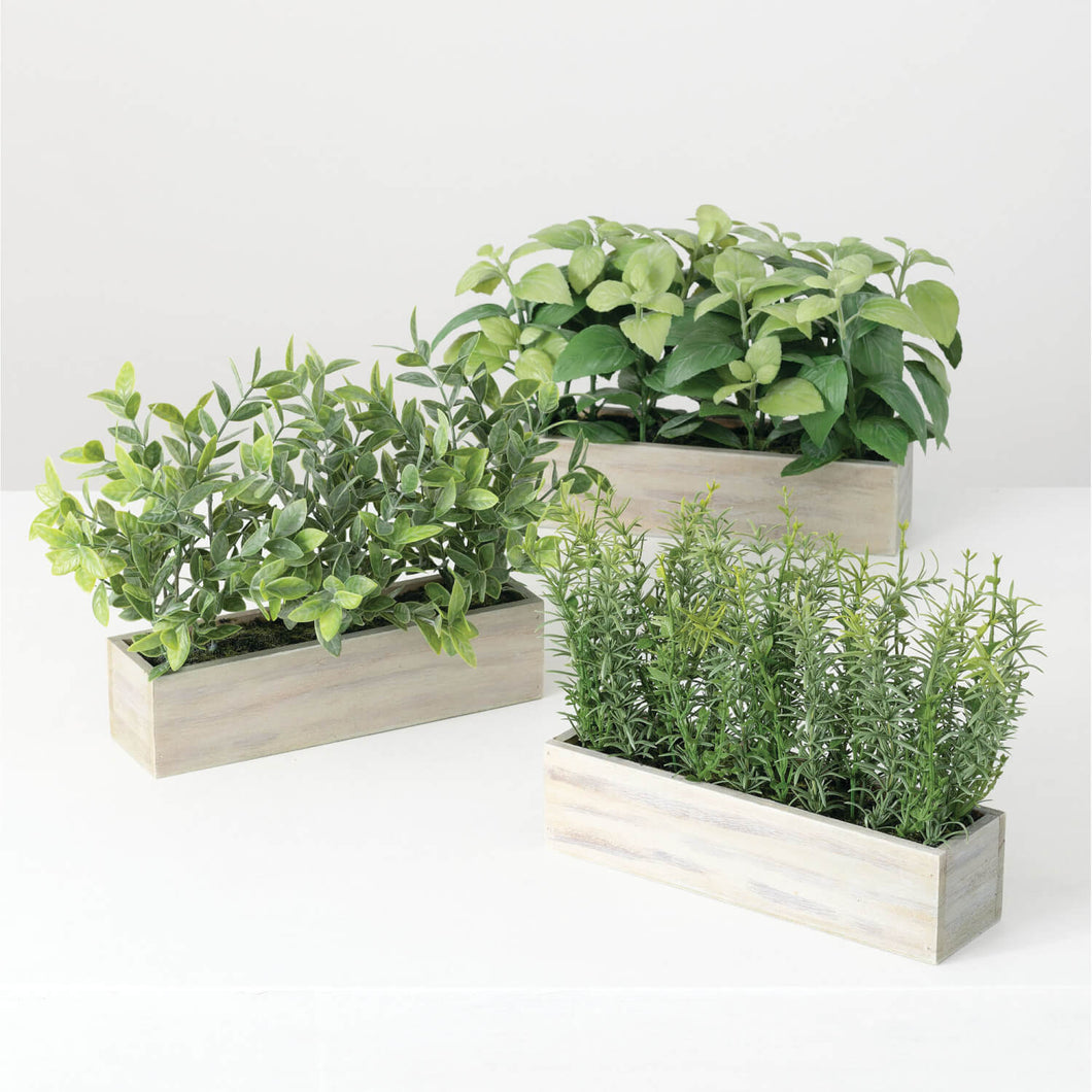 Herbs Wooden Box