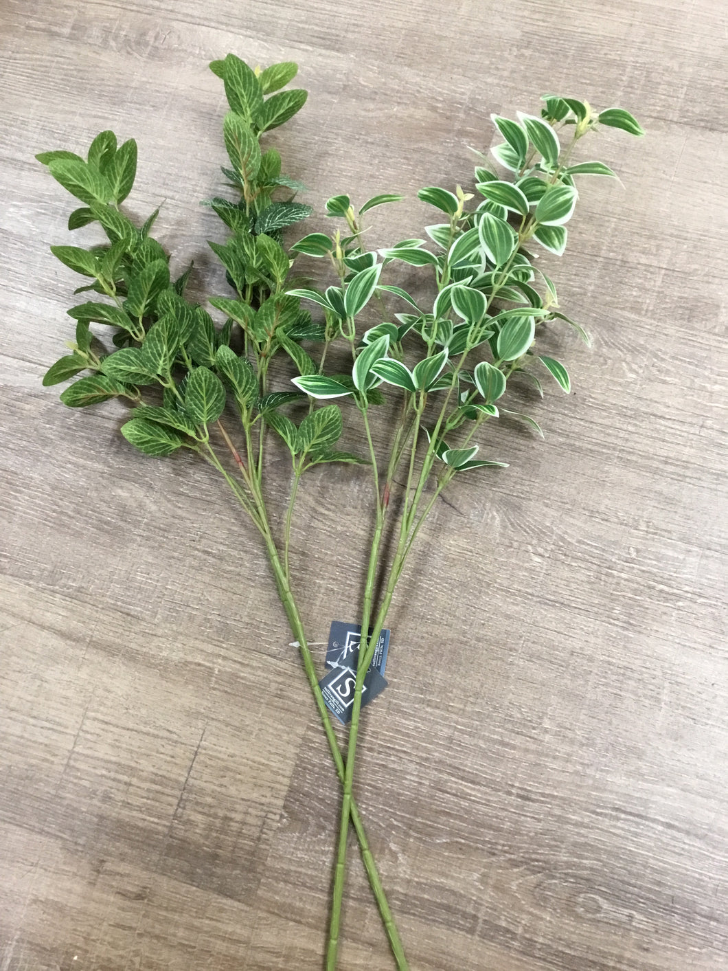 Foliage Stem Bush