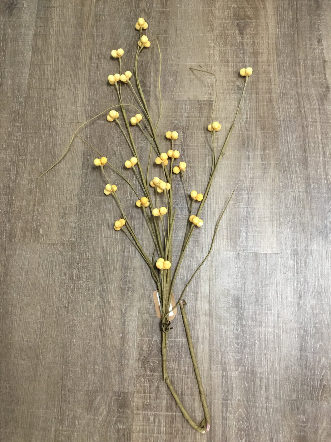 Yellow Botanica