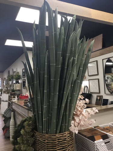 Giant Bamboo Bunch