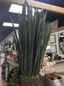 Giant Bamboo Bunch