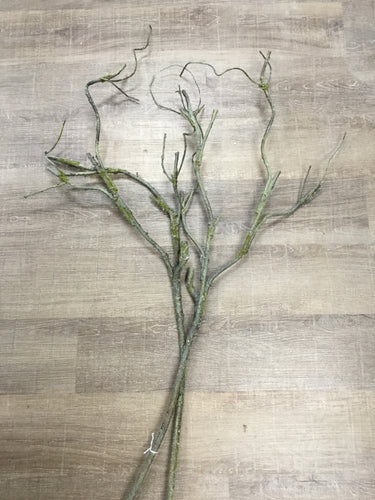 Twig with Moss