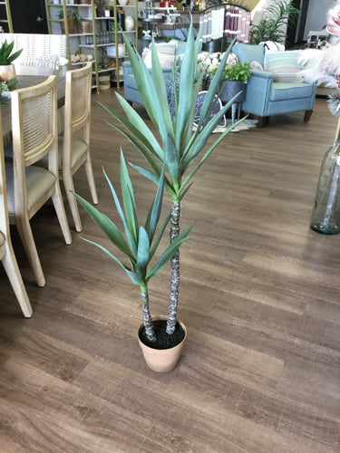 Artificial Heneken Plant w/ Pot