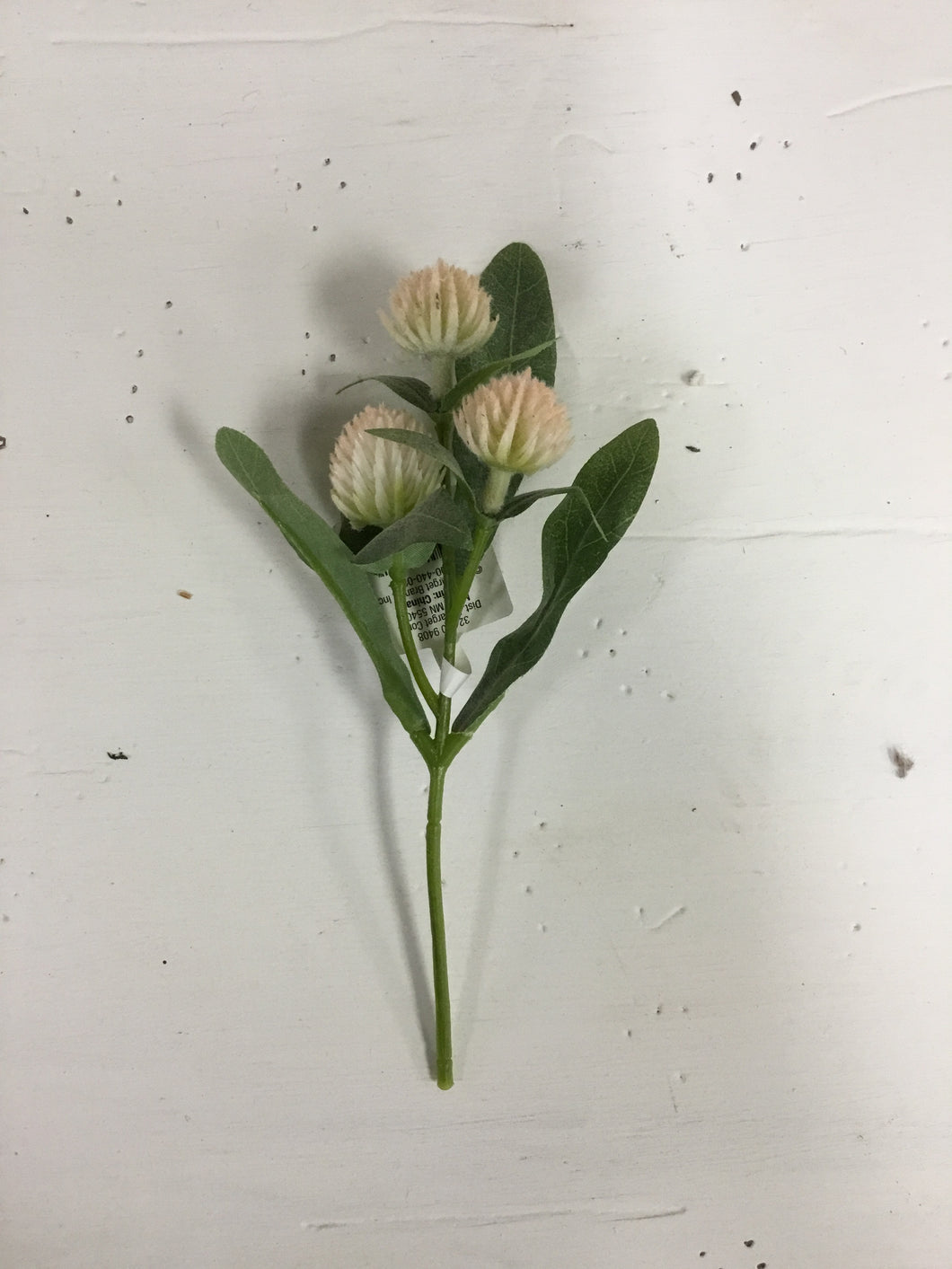 Thistle Stem