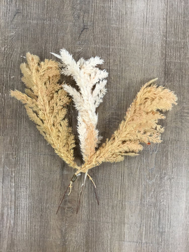 Neutral Pampas Feathers
