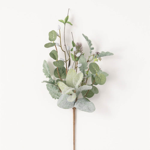 Lambs Ear Willow Pick