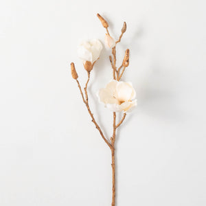 Cream Magnolia Blooming Branch