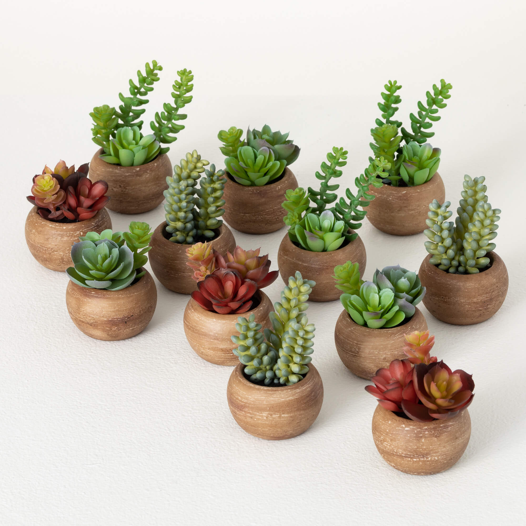 Mini Potted Succulent  Studio 9 Design Decor, LLC