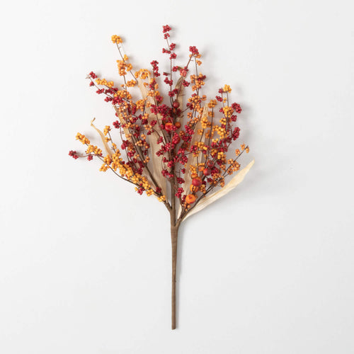 Mix Berry Pick
