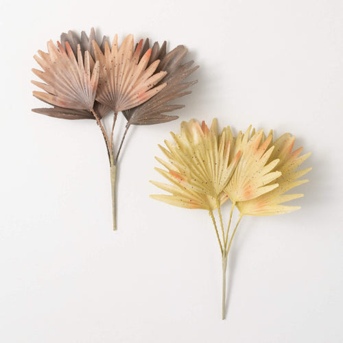 Bleached Palm Bush