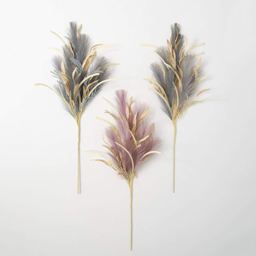 Twilight Feather Plume Grass
