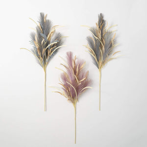 Twilight Feather Plume Grass