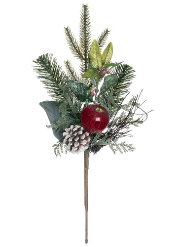 Pine Magnolia Cone Apple Pick