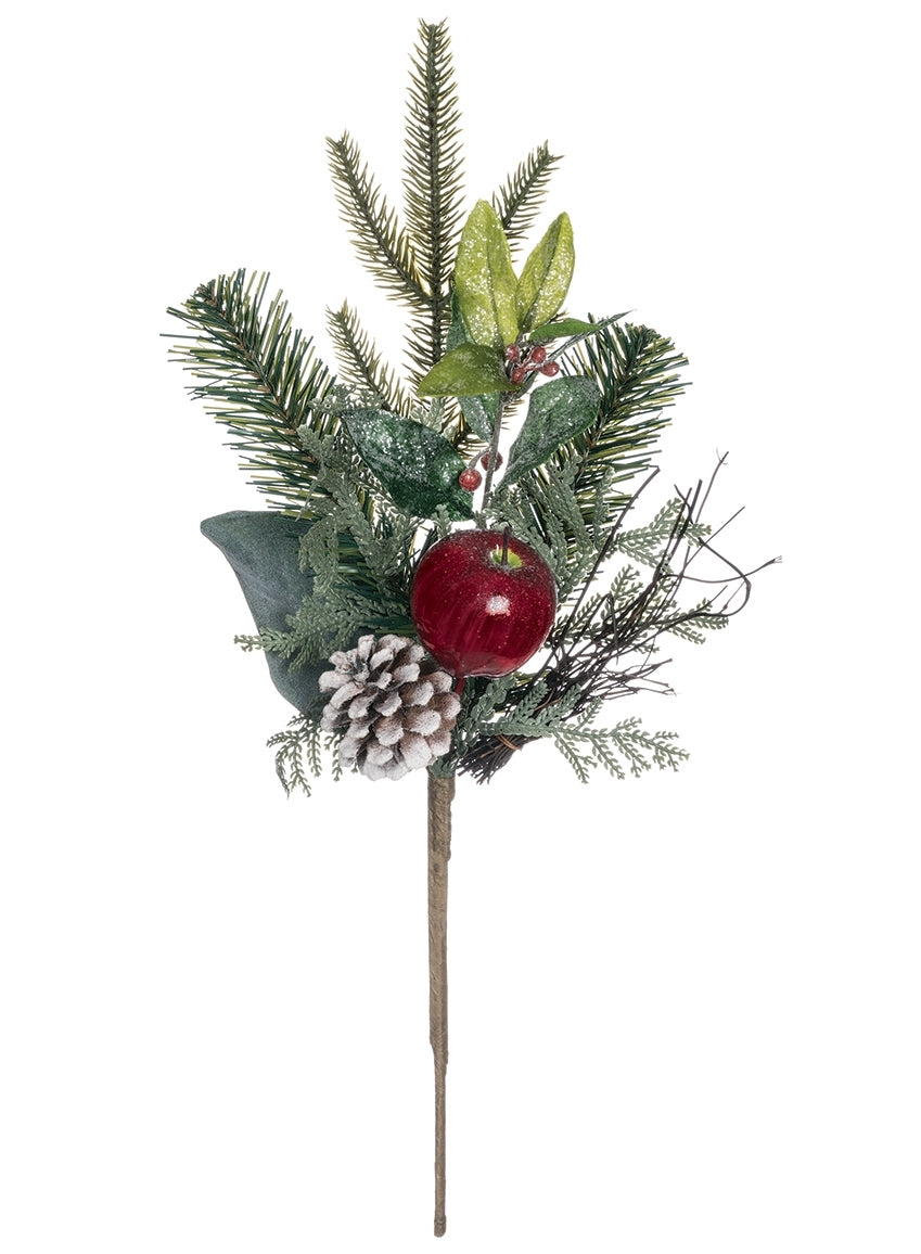 Pine Magnolia Cone Apple Pick
