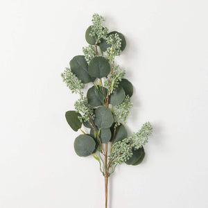 Seeded Eucalyptus Spray