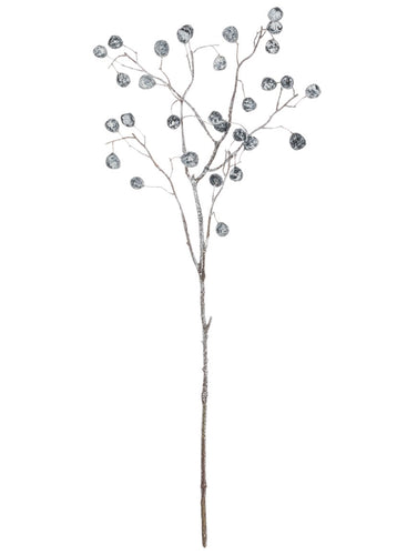 Eucalyptus Pod w/ Ice Spray