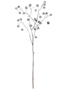 Eucalyptus Pod w/ Ice Spray