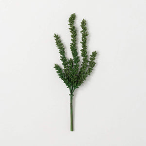 Succulent Vine Bush